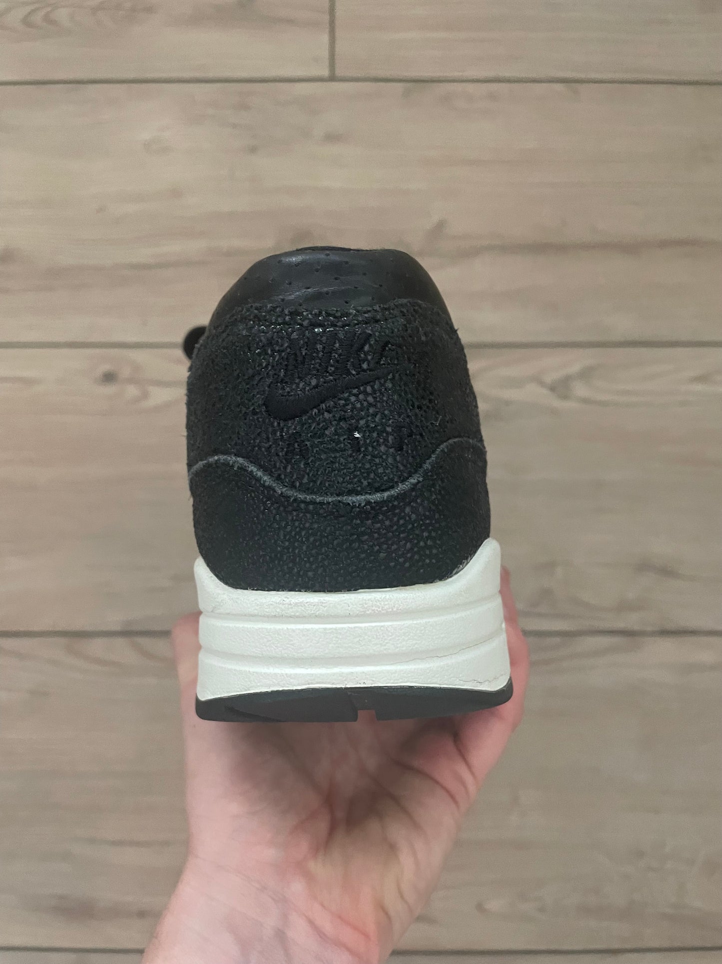Nike Air Max 1 Stingray Pack