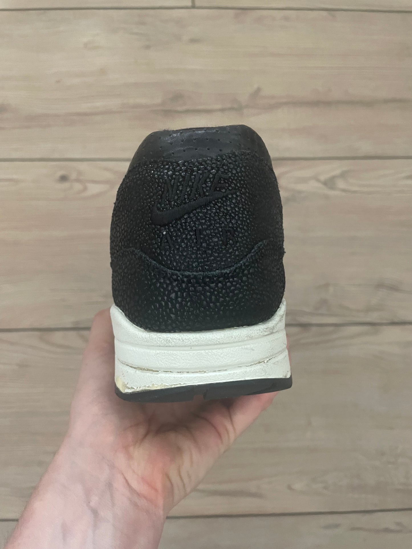 Nike Air Max 1 Stingray Pack