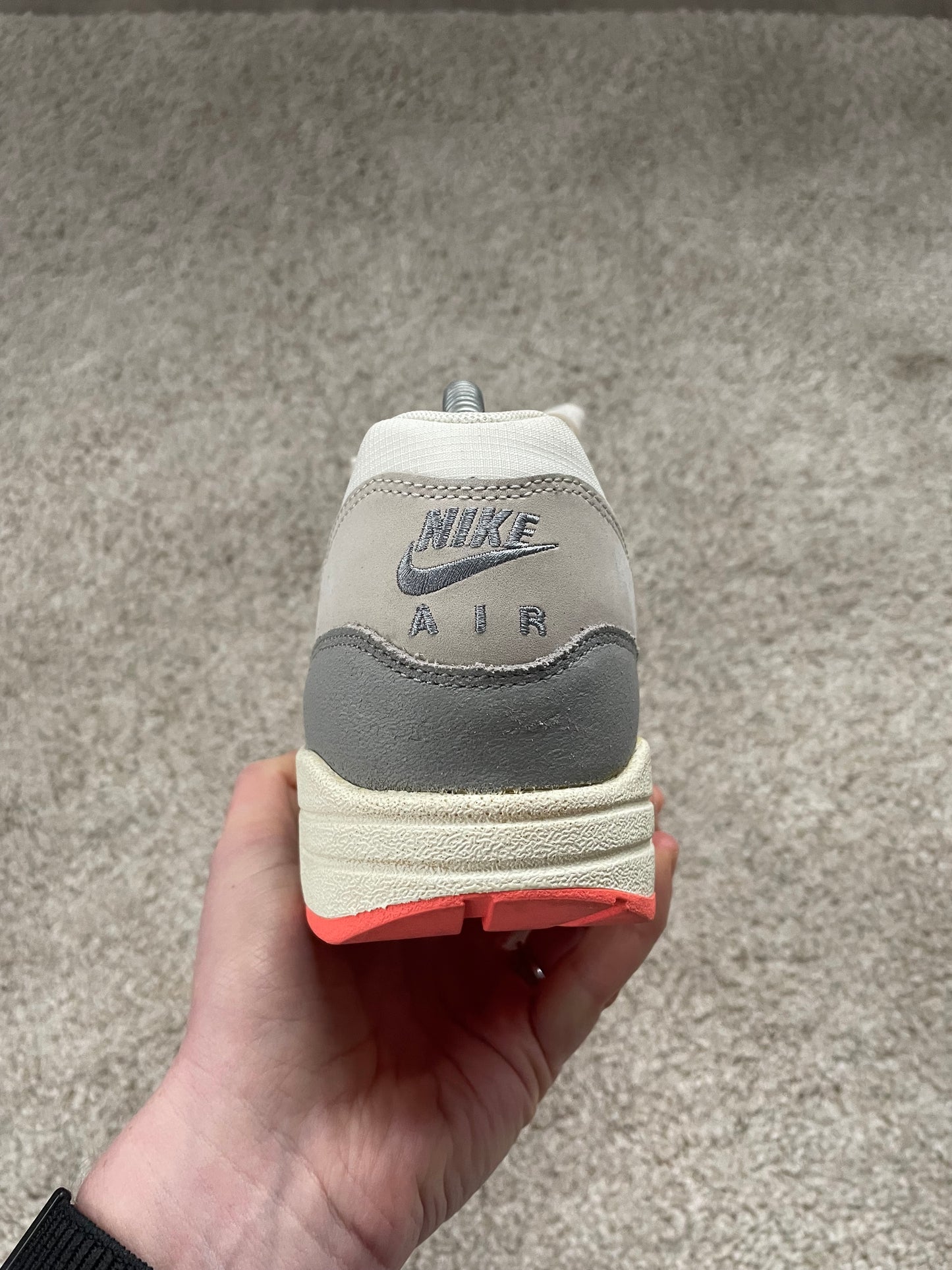 Nike Air Max 1 Pigeon