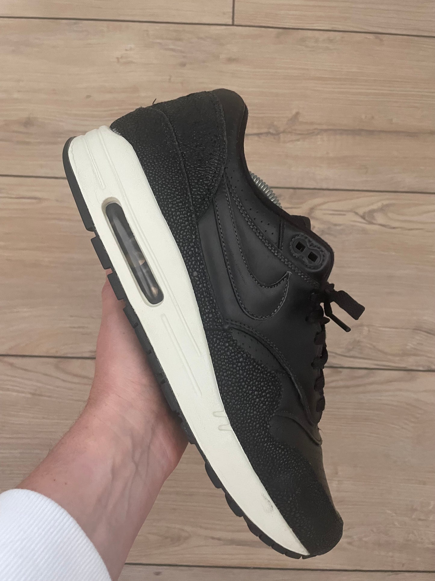 Nike Air Max 1 Stingray Pack