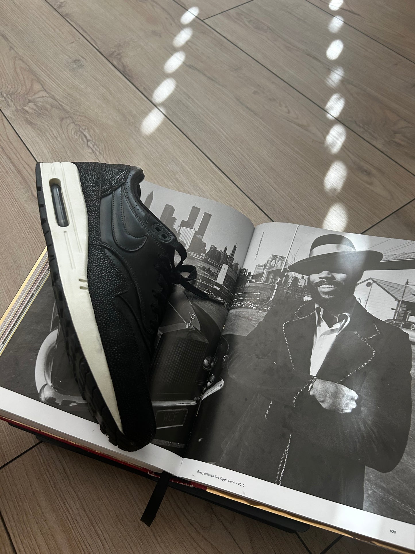 Nike Air Max 1 Stingray Pack
