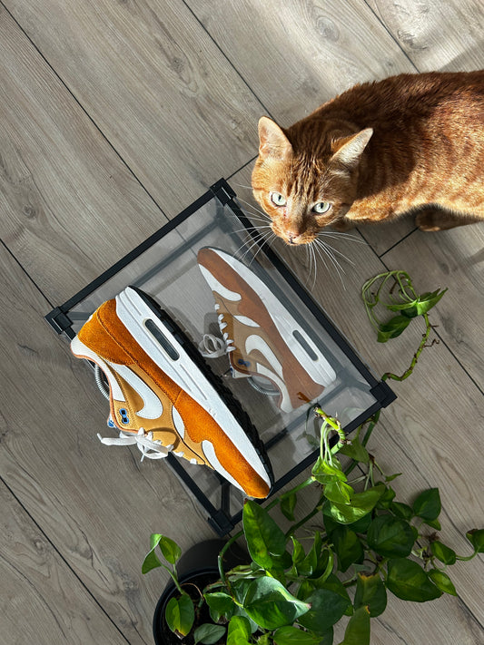 Nike Air Max 1 Curry