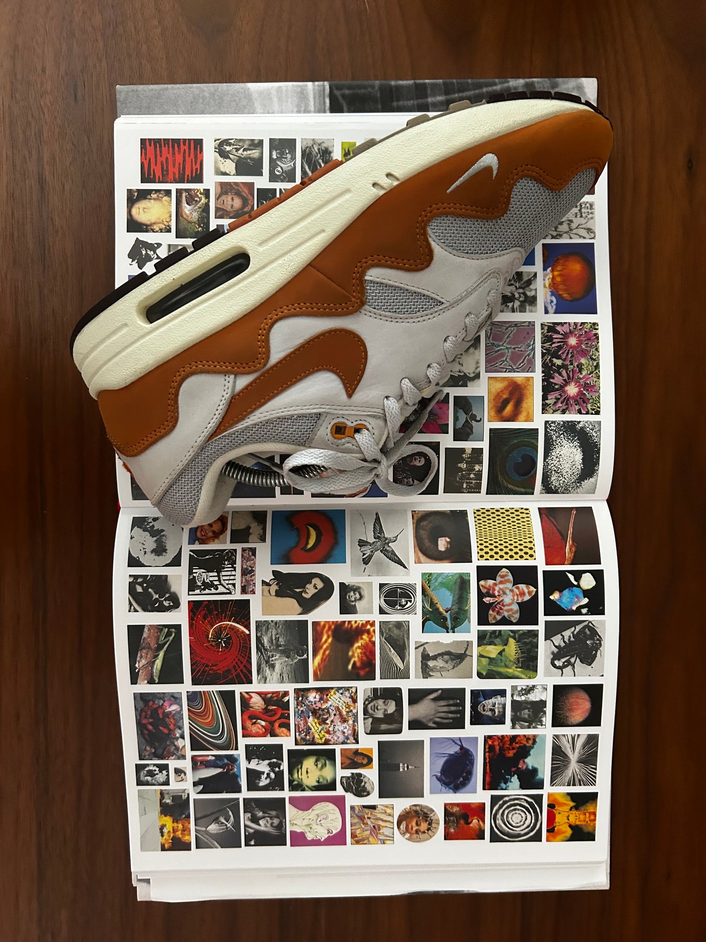 Nike Air Max 1 Patta Waves Monarch